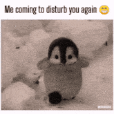 a black and white photo of a penguin in the snow with the caption " me coming to disturb you again "