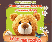 a teddy bear holds a sign that says feliz miercoles