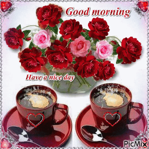 Good Morning Rose GIF - Good Morning Rose Have A Nice Day - Discover &  Share GIFs