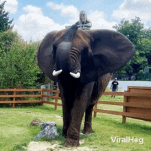 Elephant Ride Viralhog GIF - Elephant Ride Elephant Viralhog GIFs
