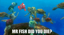 Mr Fish Die GIF - Mr Fish Die Nemo GIFs