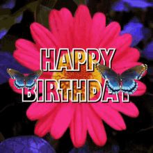 Happy Birthday Flowers Happy Birthday Butterflies GIF - Happy Birthday Flowers Happy Birthday Butterflies Happy Birthday Morph GIFs