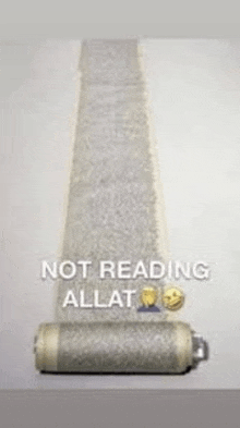 Allat Not Reading GIF