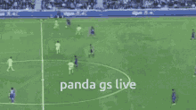 Panda Gs Live GIF - Panda Gs Live Panda Gs GIFs