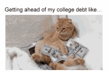 Getting Ahead Of My College Debt Like Debt GIF - Getting Ahead Of My College Debt Like Debt Cat GIFs