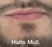 Halts Mull GIF - Halts Mull Haltsmull GIFs