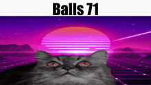 Balls Balls 71 GIF - Balls Balls 71 Cat GIFs