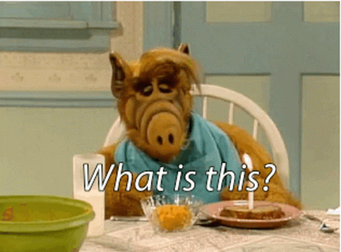 Alf What Is This GIF - Alf What Is This Whats This GIFs