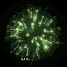 delmar virus infection disease fatal