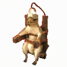 a dog is sitting in a chair with a rope hanging from it
