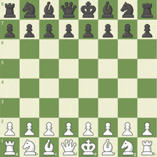a chess board with the pieces arranged in rows