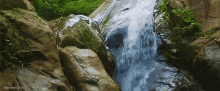 Waterfall Forest GIF - Waterfall Forest View GIFs