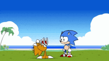 a cartoon of sonic and tails standing in a field