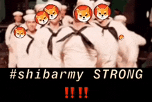 Shibarmystrong Shiba Inu GIF - Shibarmystrong Shiba Inu Shiba GIFs