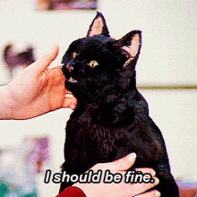 Sabrina The Teenage Witch Television GIF