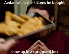 Aedan When The Kittens He Bought Show Up GIF - Aedan When The Kittens He Bought Show Up Cardboard Box GIFs