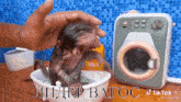 a person is petting a small monkey in a bowl next to a washing machine