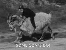 Goat Rider GIF