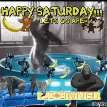 a happy saturday greeting with gorillas and bananas on it
