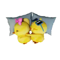 a couple of stuffed chickens with sunglasses and a bow on their heads