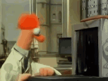 Muppets Tiger GIF - Muppets Tiger Surprise GIFs