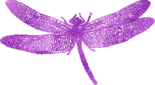 Dragonfly Purple GIF - Dragonfly Purple Glitter GIFs