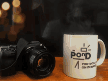 Pond Photographers On Demand GIF