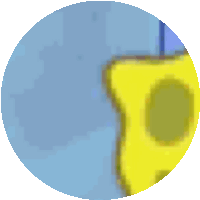 a blue circle with a yellow circle in the middle