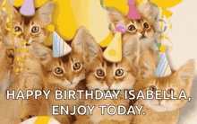 Happy Birthday Cat GIF - Happy Birthday Cat Kittens GIFs
