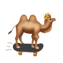 camel wielbob