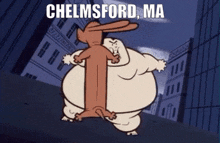 Chelmsford Massachusetts GIF - Chelmsford Massachusetts Sumo GIFs