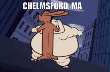 a cartoon of a dog and a rabbit with the words chelmsford ma