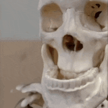 a close up of a skull with a hole in it