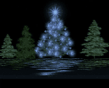 Boldog Karácsonyt Christmas Tree GIF - Boldog Karácsonyt Christmas Tree GIFs