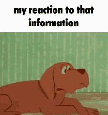 Frakk Frakk Reaction GIF - Frakk Frakk Reaction My Reaction To That Information GIFs