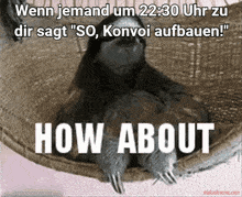 a picture of a sloth laying in a hammock with a caption that says how about