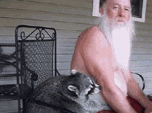 Old Man Raccoon GIF - Old Man Raccoon Santa GIFs