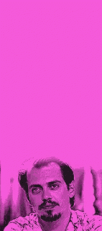 Steve Buscemi Mr Pink GIFs