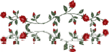 red roses roses reflection roses for you red roses for you glitter graphics