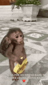 a baby monkey is walking on a tiled floor holding a guitar .