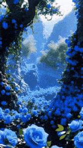 a bunch of blue roses are growing in a forest .