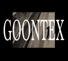Goontex Gtex GIF - Goontex Gtex Gtex4l GIFs