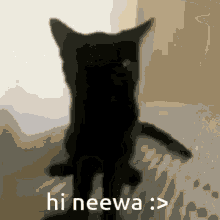 Neewa GIF - Neewa GIFs