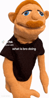 a puppet with a mustache is wearing a black shirt that says " what is bro doing "