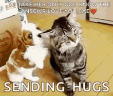 Snuggles Hugs GIF - Snuggles Hugs GIFs