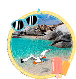 Summer Fun Summer Holidays Sticker - Summer Fun Summer Holidays Animated Stickers Stickers