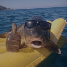a fish wearing sunglasses and giving a thumbs up