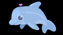 Dolphin Hearts GIF - Dolphin Hearts Cute GIFs