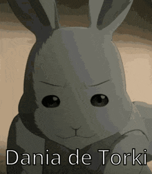 a picture of a rabbit with the name dania de torki written below it