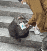 a person standing next to a dog holding a cigarette